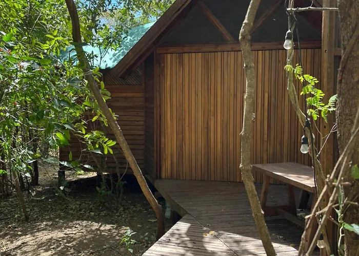 Pura Selva Tree House *