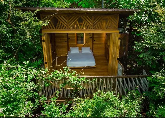 Pura Selva Tree House Lodge *